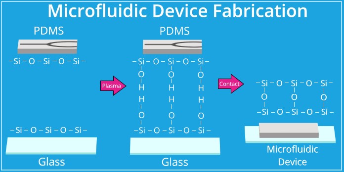 Collage-PDMS-plasma